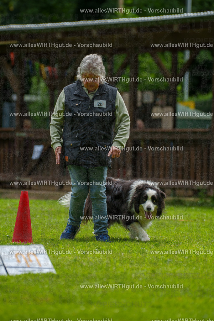 @allesWIRTHgut_Tierfotografie - www.allesWIRTHgut.de - 093830-7R507420 | Professionelle Tierfotografie in Mönchengladbach von Daniel Wirth (allesWIRTHgut). Liebevolle & natürliche Bilder von Hunden & Katzen für unvergessliche Erinnerungen.