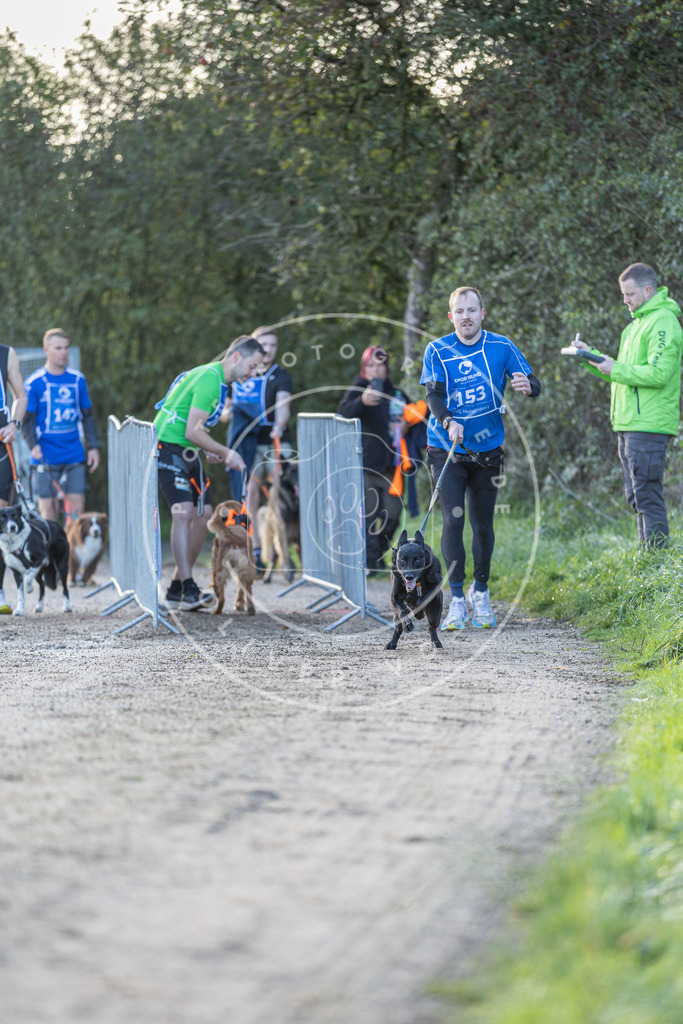Pfotenfotografie.de_DV3A2693 | Hundefotografie, Tierfotograf, Pfotenfotografie, Fotoshooting Hund, Hunde Portrait, Hundesport, Hundeportraits, Heideshooting, Hunde, Sportfotograf, Hundefotograf, Turnierhundsport, THS, canicross - Realisiert mit Pictrs.com