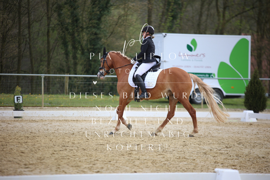 IMGT5588 | pl-fotografie