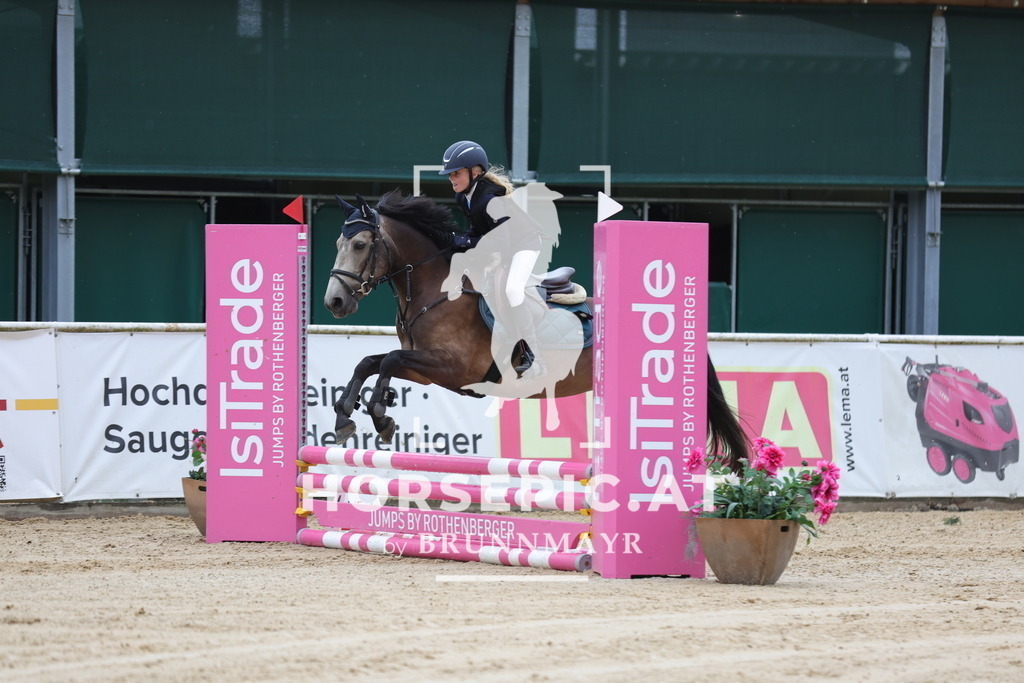 0P6A7103 | Willkommen bei Brunnmayr - Design & Fotografie – Ihrem Spezialisten für Reitturniere und Pferdeveranstaltungen in Oberösterreich, Salzburg und Bayern! Seit über 17 Jahren sind wir leidenschaftlich dabei.
