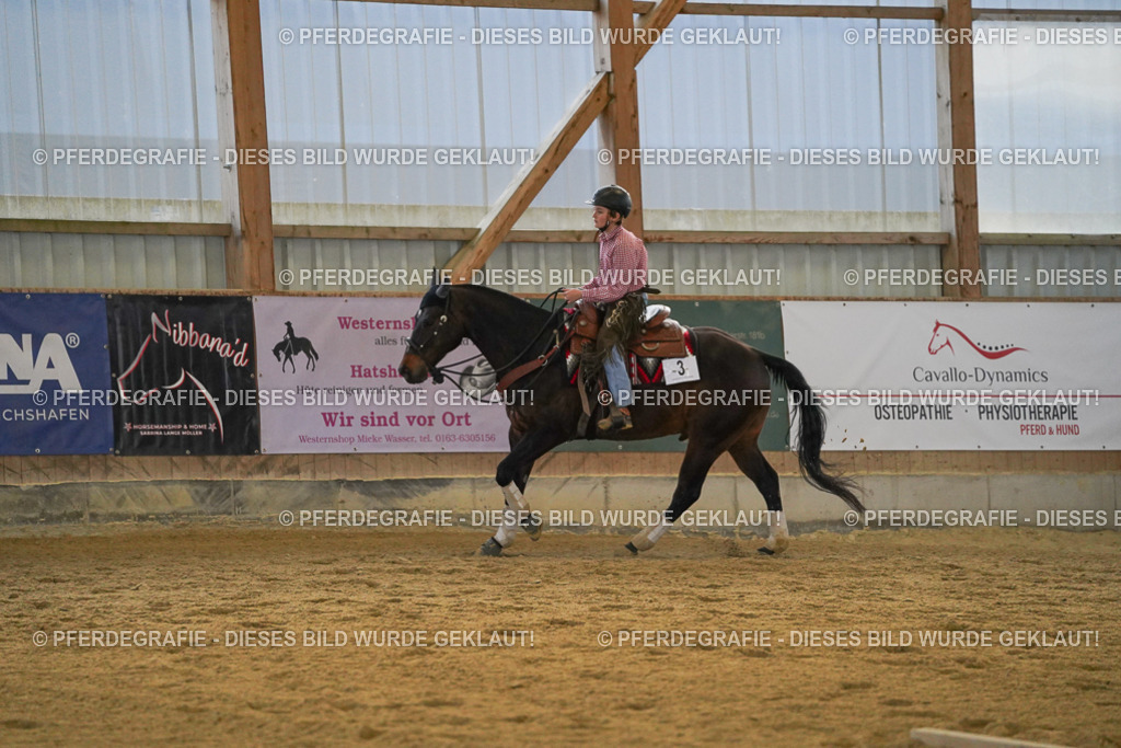 DSC09157 | Pferdegrafie