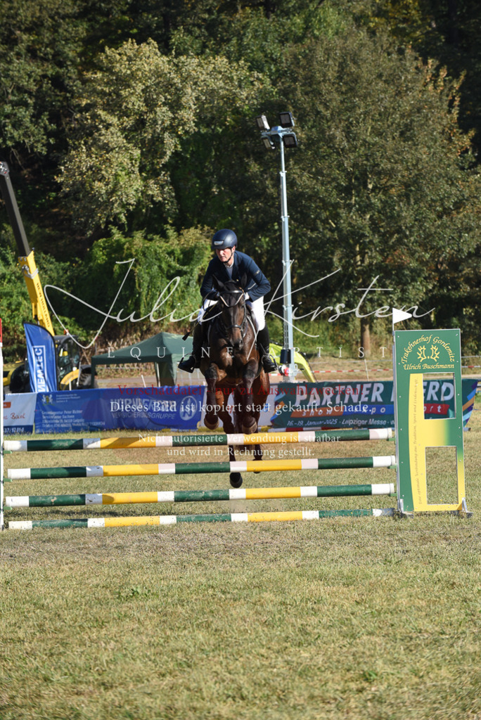 DSC_5169 | Pferde- und Turnierfotografie in Westsachsen. Pferdeportraits, Auftragszeichnungen und intuitive Kunst.