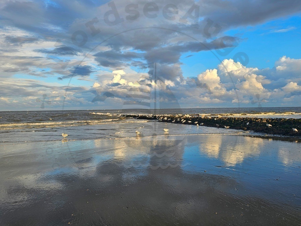 Sonnenaufgang Sonnenuntergang Nordsee | Sonnenaufgang und Sonnenuntergang Momente an der Nordsee  - Realisiert mit Pictrs.com
