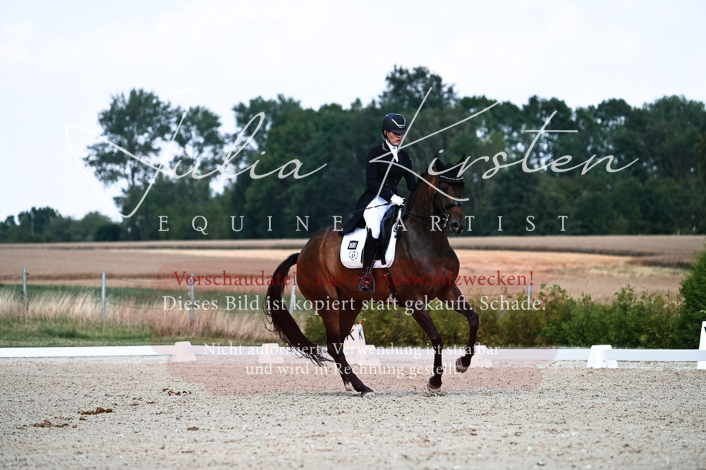 DSC_3105 | Pferde- und Turnierfotografie in Westsachsen. Pferdeportraits, Auftragszeichnungen und intuitive Kunst.