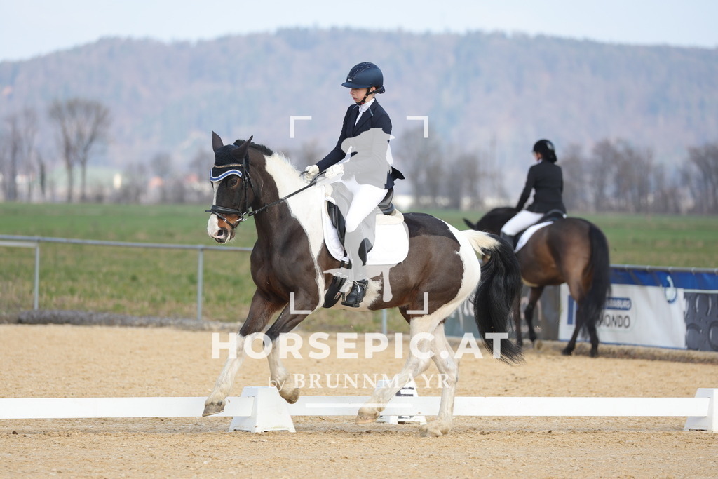 0P6A6354 | Willkommen bei Brunnmayr - Design & Fotografie – Ihrem Spezialisten für Reitturniere und Pferdeveranstaltungen in Oberösterreich, Salzburg und Bayern! Seit über 17 Jahren sind wir leidenschaftlich dabei.