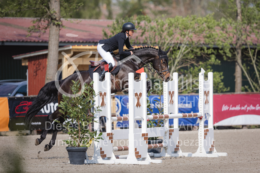 220426_Mühlen_SprPfA2-207 | Late Entry Mühlen
26.04.2022
02 Springpferde-A** 4-6j