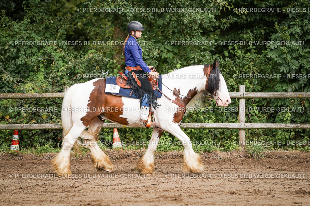 DSC07676 | Pferdegrafie