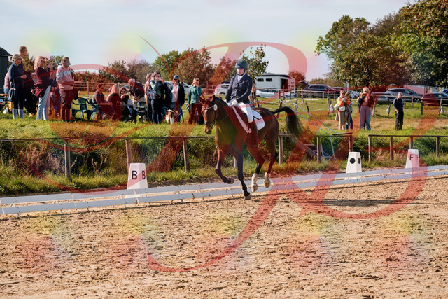 2026_10_03_Siefer-Hof_125624_Z63_63638563 | Professionelle Reitsport-, Turnier- und Eventfotografie von Robert Broda. Galerien mit ausgewählten und bearbeiteten Bildern direkt online ansehen und bestellen.