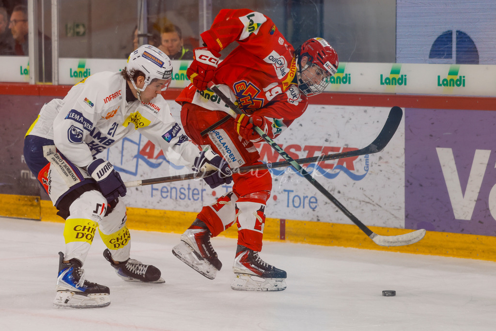 EHCB vs HCAP 20260115_wb-4400 | Sportbilder, Sportfotograf, Hochzeits- und Eventfotografin, Flugshows, Portraits und Tiershooting, Aviation, Downhill, Nationalleague, Swissleague, International