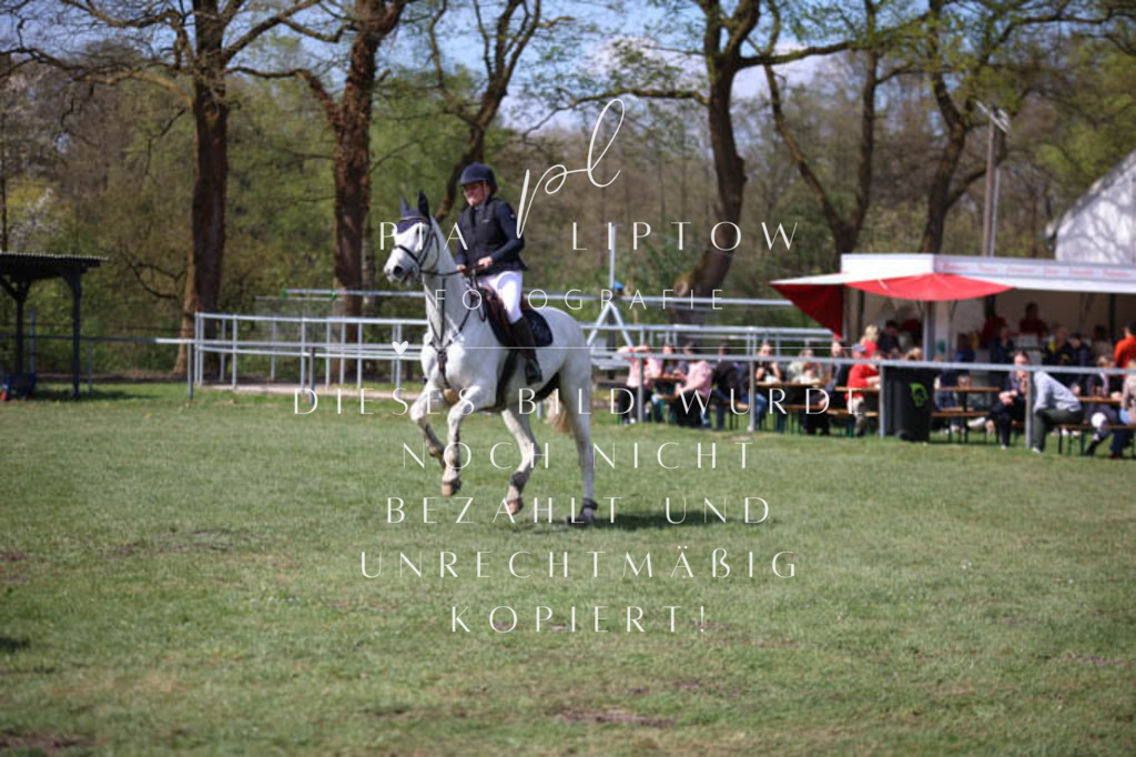 IMGT5487 | pl-fotografie