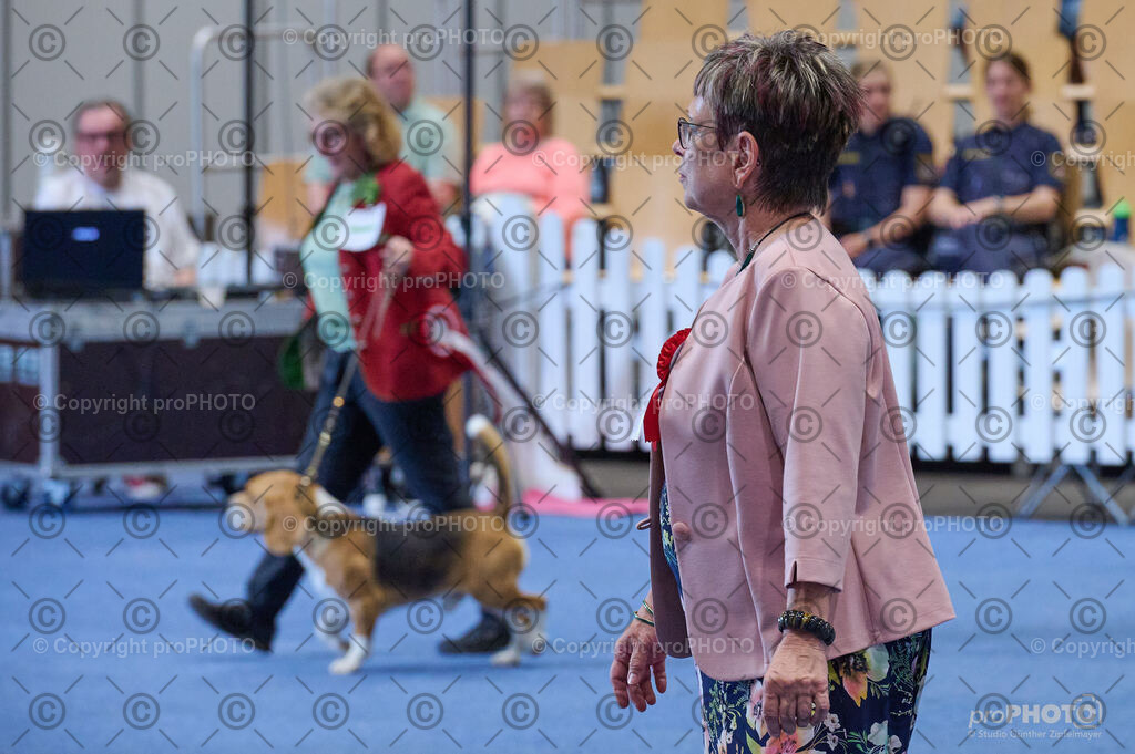 202406_ÖKV-IHA-Tulln24_DSC_5041 | proPHOTO - Realisiert mit Pictrs.com