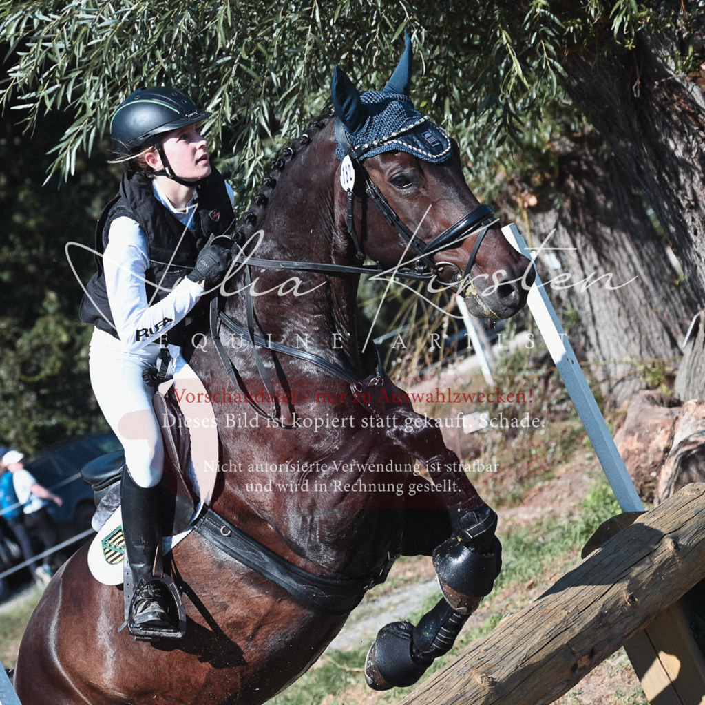 DSC_8662 | Pferde- und Turnierfotografie in Westsachsen. Pferdeportraits, Auftragszeichnungen und intuitive Kunst.