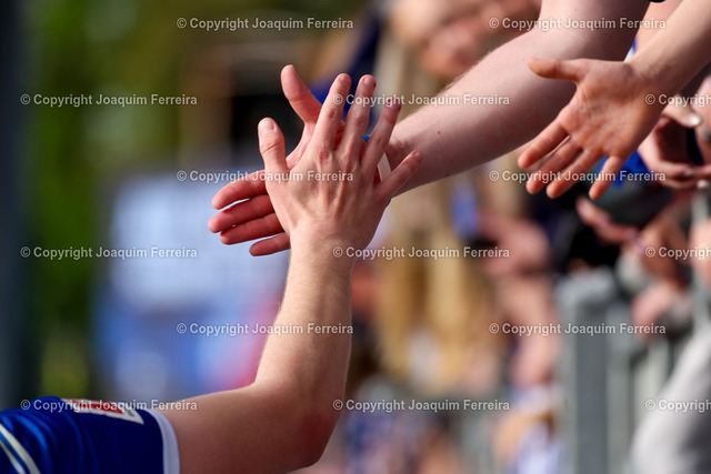 2400414_svdvsscf_4438 Kopie | Darmstadt, 14.04.2024 xjfx 1.Bundesliga SV Darmstadt 98 - SC Freiburg v.l., Spieler klatschen die Zuschauer ab





(DFL/DFB REGULATIONS PROHIBIT ANY USE OF PHOTOGRAPHS as IMAGE SEQUENCES and/or QUASI-VIDEO) - Realisiert mit Pictrs.com