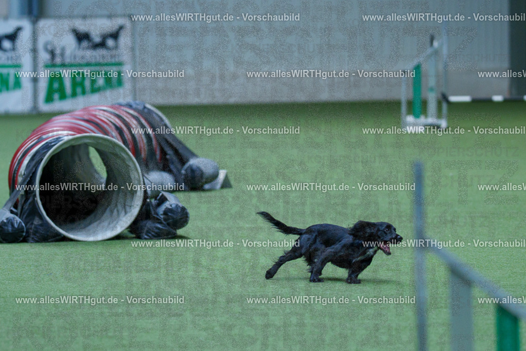 @allesWIRTHgut_Tierfotografie - www.allesWIRTHgut.de - 2604251528-7R505976 | Professionelle Tierfotografie in Mönchengladbach von Daniel Wirth (allesWIRTHgut). Liebevolle & natürliche Bilder von Hunden & Katzen für unvergessliche Erinnerungen.
