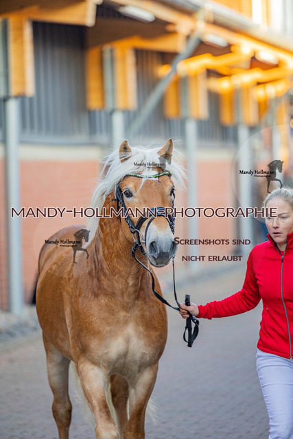 KWEP (94 von 702) | mandyhollmannphotographie