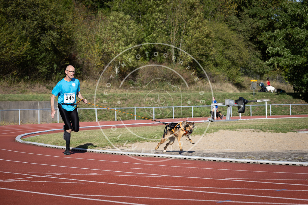 Pfotenfotografie_DV3A8587 | Hundefotografie, Tierfotograf, Pfotenfotografie, Fotoshooting Hund, Hunde Portrait, Hundesport, Hundeportraits, Heideshooting, Hunde, Sportfotograf, Hundefotograf, Turnierhundsport, THS,  - Realisiert mit Pictrs.com