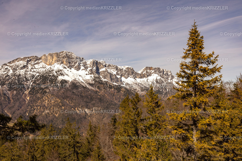 _J3A0360 | medienkrizzler - Realisiert mit Pictrs.com