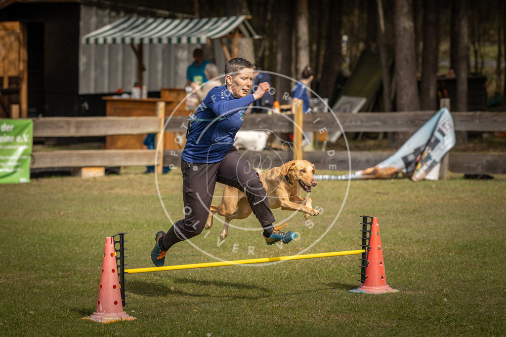 Pfotenfotografie_DV3A9275 | Hundefotografie, Tierfotograf, Pfotenfotografie, Fotoshooting Hund, Hunde Portrait, Hundesport, Hundeportraits, Heideshooting, Hunde, Sportfotograf, Hundefotograf, Turnierhundsport, THS,  - Realisiert mit Pictrs.com