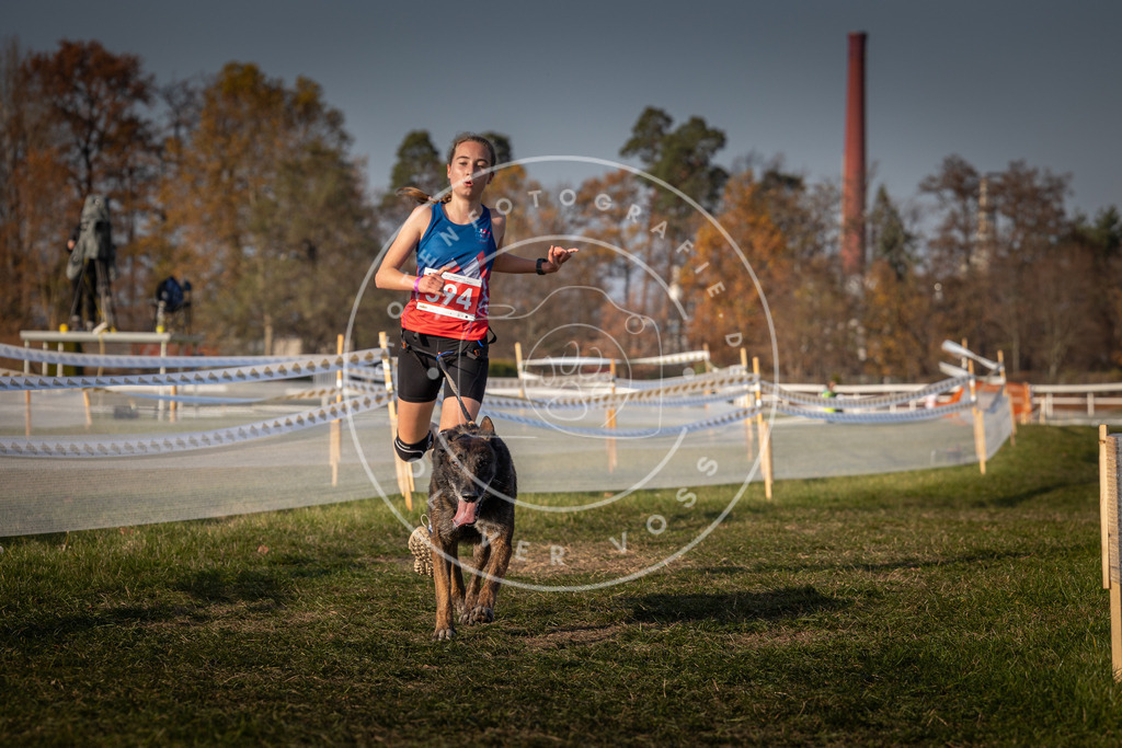 CaniXpix_0L8A9975 | Hundefotografie, Tierfotograf, Pfotenfotografie, Fotoshooting Hund, Hunde Portrait, Hundesport, Hundeportraits, Heideshooting, Hunde, Sportfotograf, Hundefotograf, Turnierhundsport, THS,  - Realisiert mit Pictrs.com