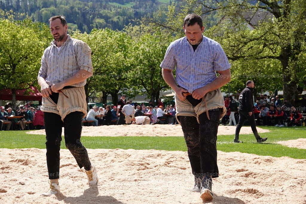 DSC00560 | Schwingen - Realisiert mit Pictrs.com