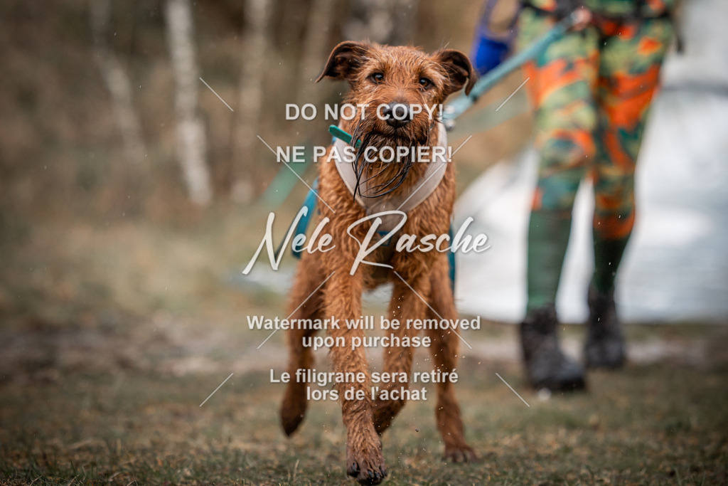nelerasche_0930-1000_15 | nelerasche