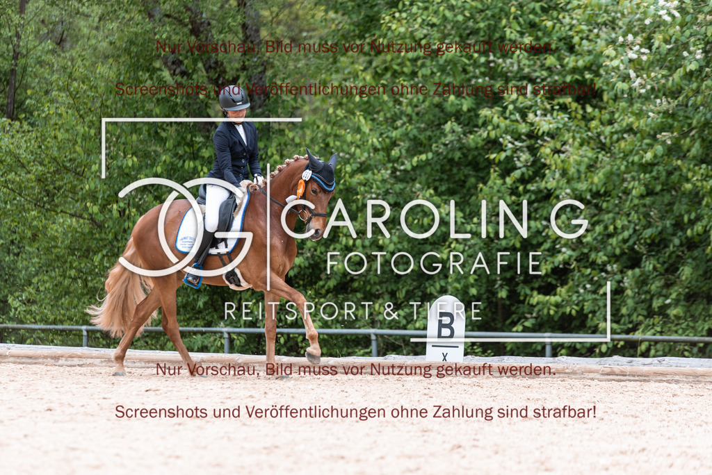 DSC_7129 | Turnierfotografin Carolin Gieschke,Reitsport Turnierfotografie Carolin G Fotografie | Turnierfotos aus Kirchheim/Teck, Esslingen, Stuttgart und dem Bodenseekreis