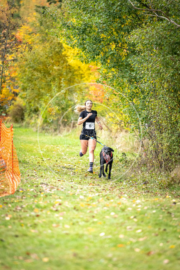 Pfotenfotografie_DV3A1709 | Hundefotografie, Tierfotograf, Pfotenfotografie, Fotoshooting Hund, Hunde Portrait, Hundesport, Hundeportraits, Heideshooting, Hunde, Sportfotograf, Hundefotograf, Turnierhundsport, THS,  - Realisiert mit Pictrs.com