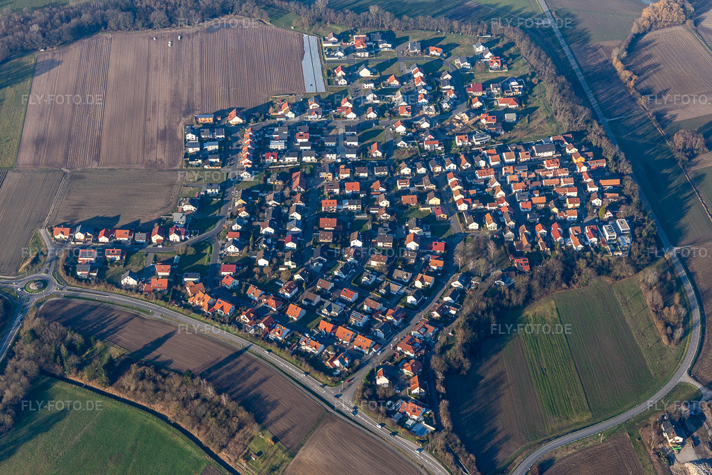 Luftbild: Ortsansicht im Ortsteil Hardtwald in Neupotz im Bundesland Rheinland-Pfalz in Deutschland. Foto: IMG_120065.jpg vom 07.02.2020 durch Werner Riehm/FLY-FOTO.de
