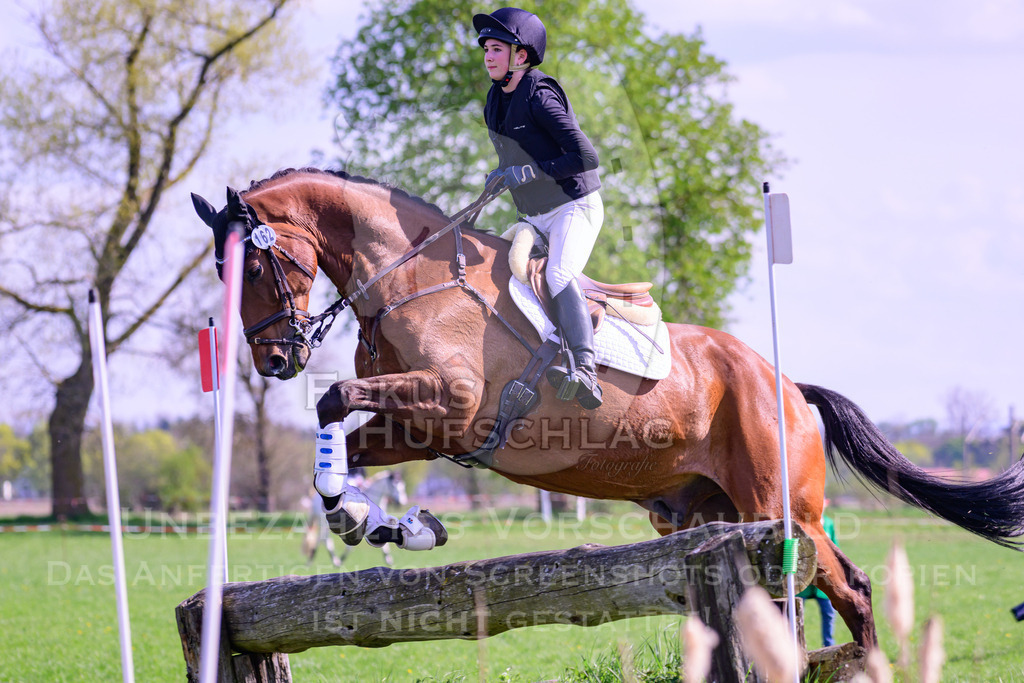 18042026-Gernlinden-04-1-0316 | Fokus Hufschlag Fotografie - Realisiert mit Pictrs.com