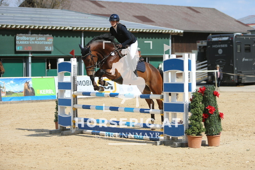 DL2Q9007 | Willkommen bei Brunnmayr - Design & Fotografie – Ihrem Spezialisten für Reitturniere und Pferdeveranstaltungen in Oberösterreich, Salzburg und Bayern! Seit über 17 Jahren sind wir leidenschaftlich dabei.
