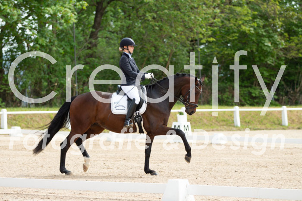 IMG_0476 | Creatify Fotografie