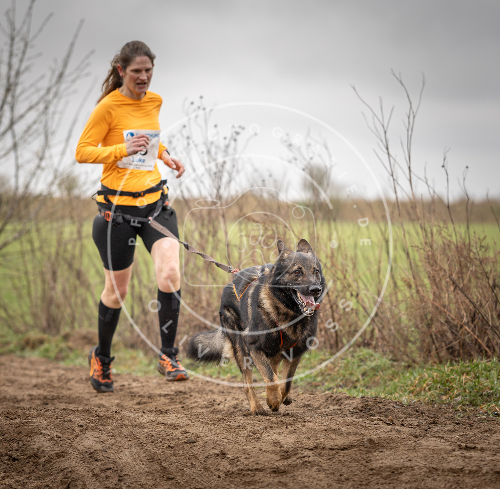 DV3A0045 | Hundefotografie, Tierfotograf, Pfotenfotografie, Fotoshooting Hund, Hunde Portrait, Hundesport, Hundeportraits, Heideshooting, Hunde, Sportfotograf, Hundefotograf, Turnierhundsport, THS,  - Realisiert mit Pictrs.com