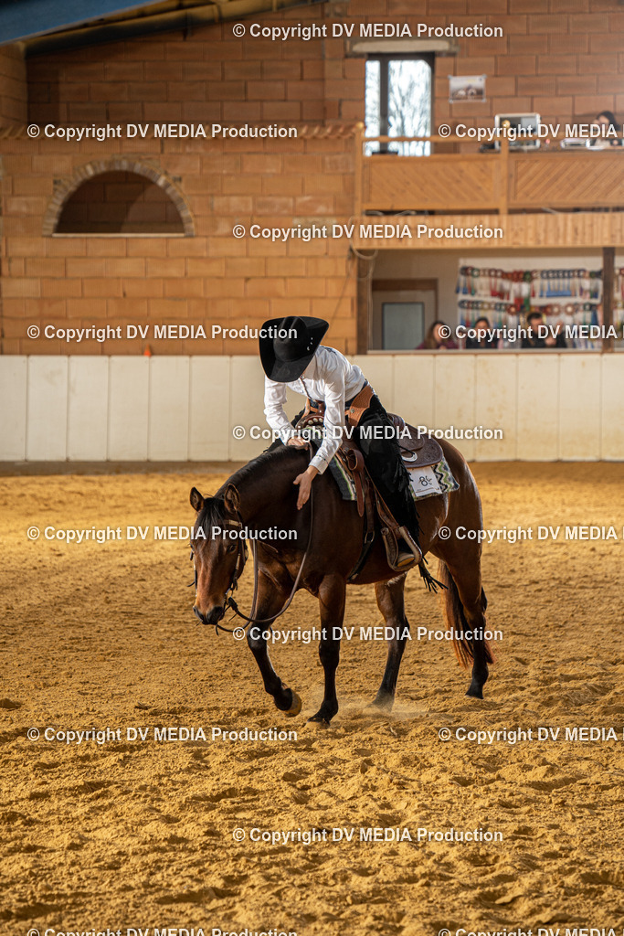 MIT00774 | dv-media-shop - Realisiert mit Pictrs.com