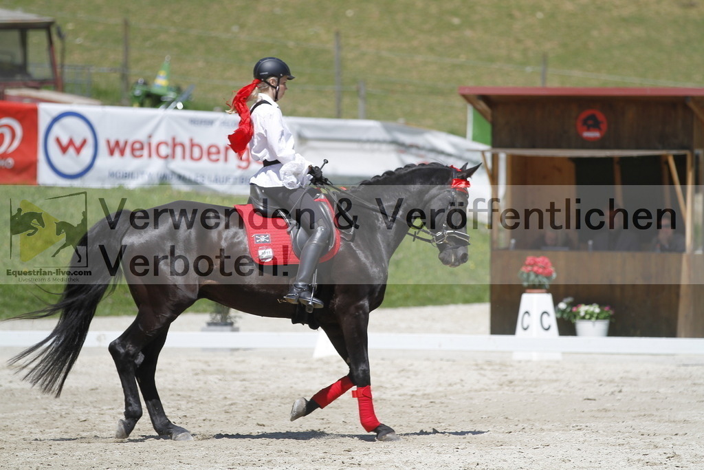 _MG_7442 | equestrian-live-com