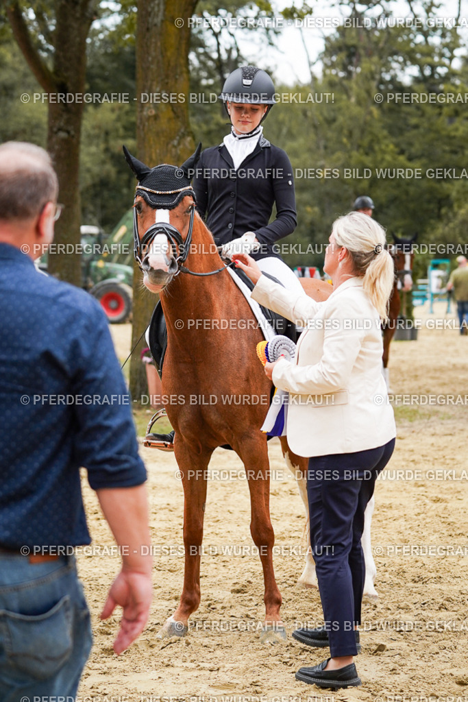 DSC06196 | Pferdegrafie