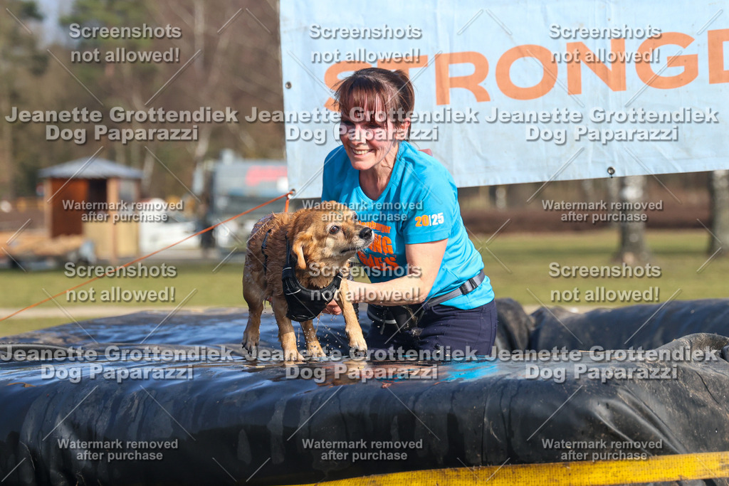 Dog Paparazzi - Strongdog North Mrz26-3243 | Dog Paparazzi Jeanette Grottendiek Fotografie & Videografie - Realisiert mit Pictrs.com