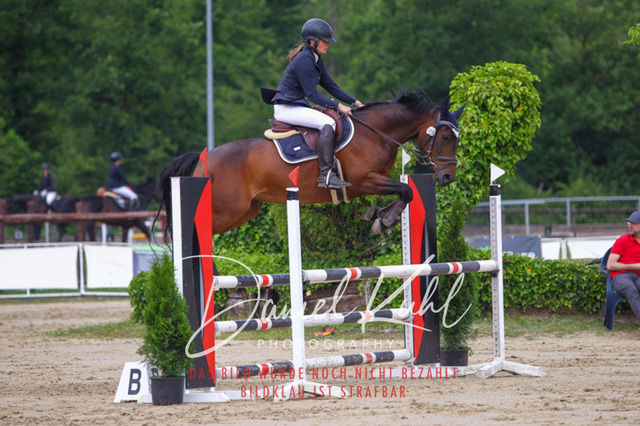 DKP41967 | Turniersportfotografie; Pferdefotografie; Dressurfotografie