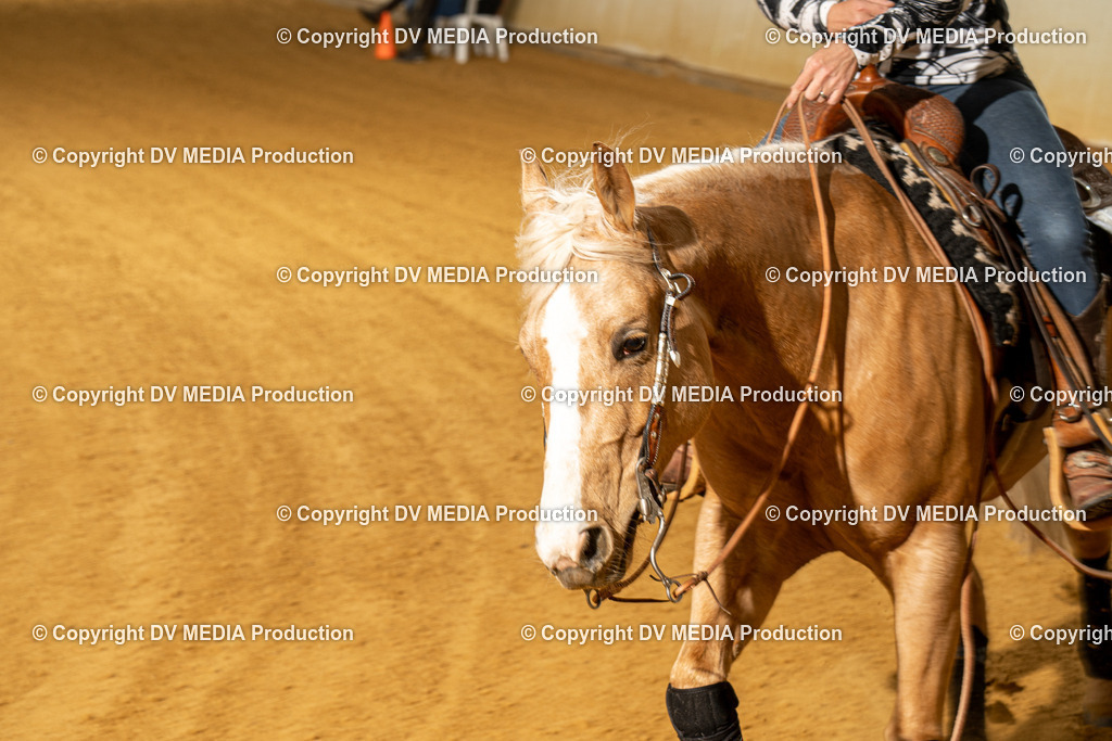 MIT00210 | dv-media-shop - Realisiert mit Pictrs.com