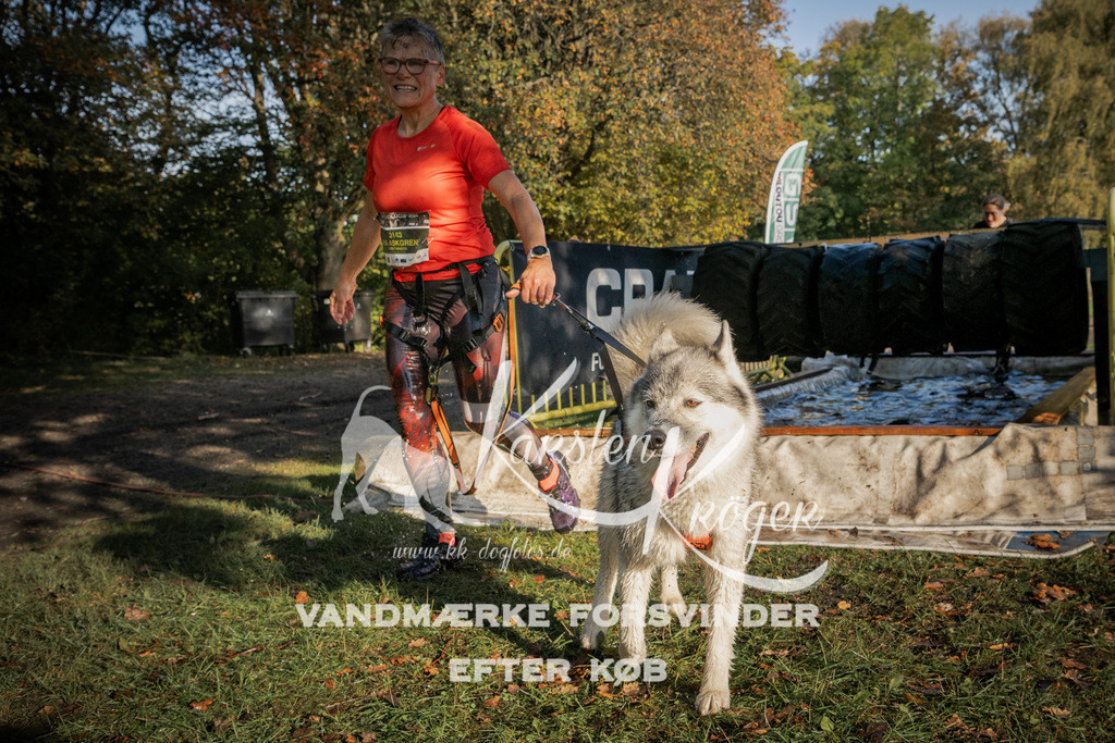 0952_ZZ92141 | kk-dogfotos