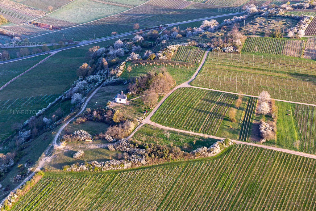Luftbild: Kapelle im Naturschutzgebiet Kleine Kalmit in der Pfalz in Ilbesheim bei Landau im Bundesland Rheinland-Pfalz in Deutschland. Foto: IMG_126236.jpg vom 04.04.2021 durch Werner Riehm/FLY-FOTO.de