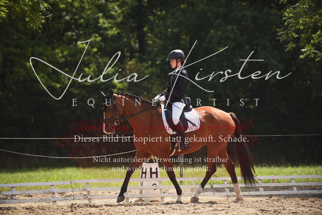 DSC_0901 | Pferde- und Turnierfotografie in Westsachsen. Pferdeportraits, Auftragszeichnungen und intuitive Kunst.