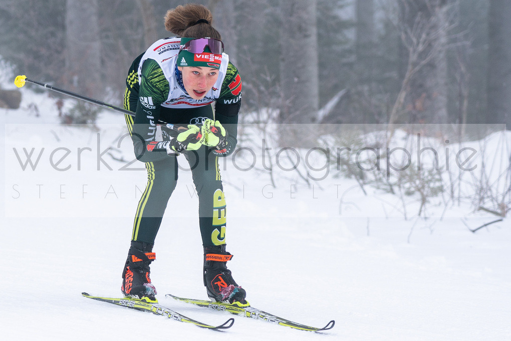 DSC Arber | Bayerischer Wald am 15. und 16. Januar 2022
