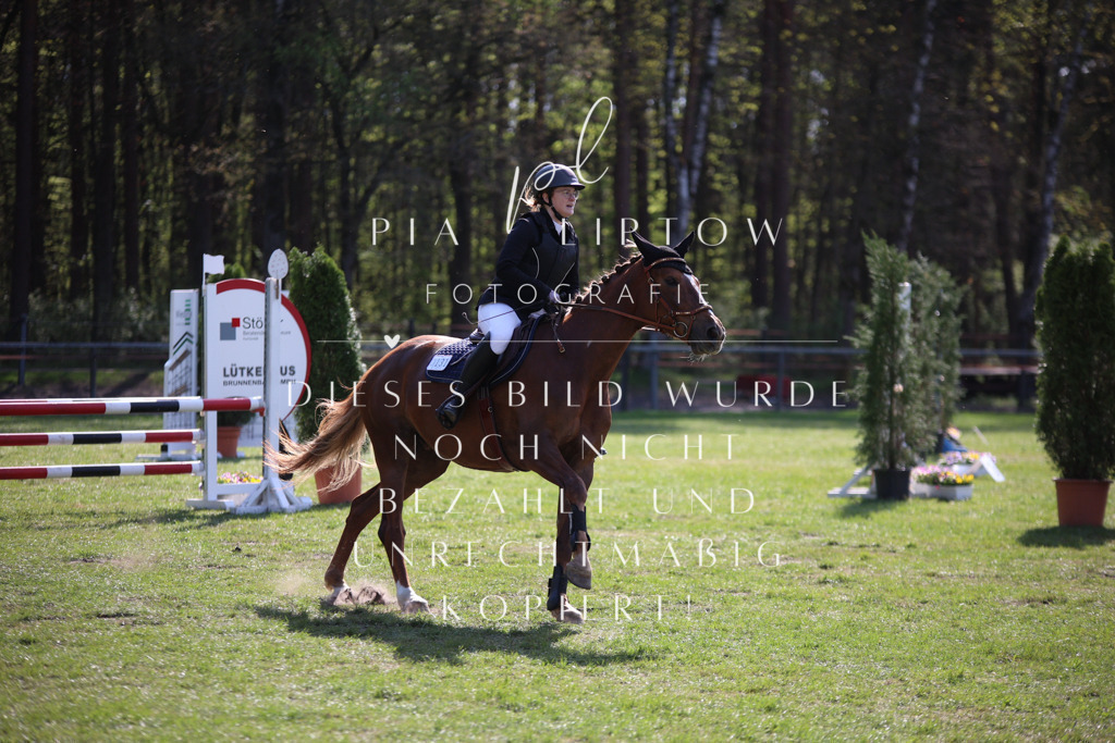 IMGT9184 | pl-fotografie