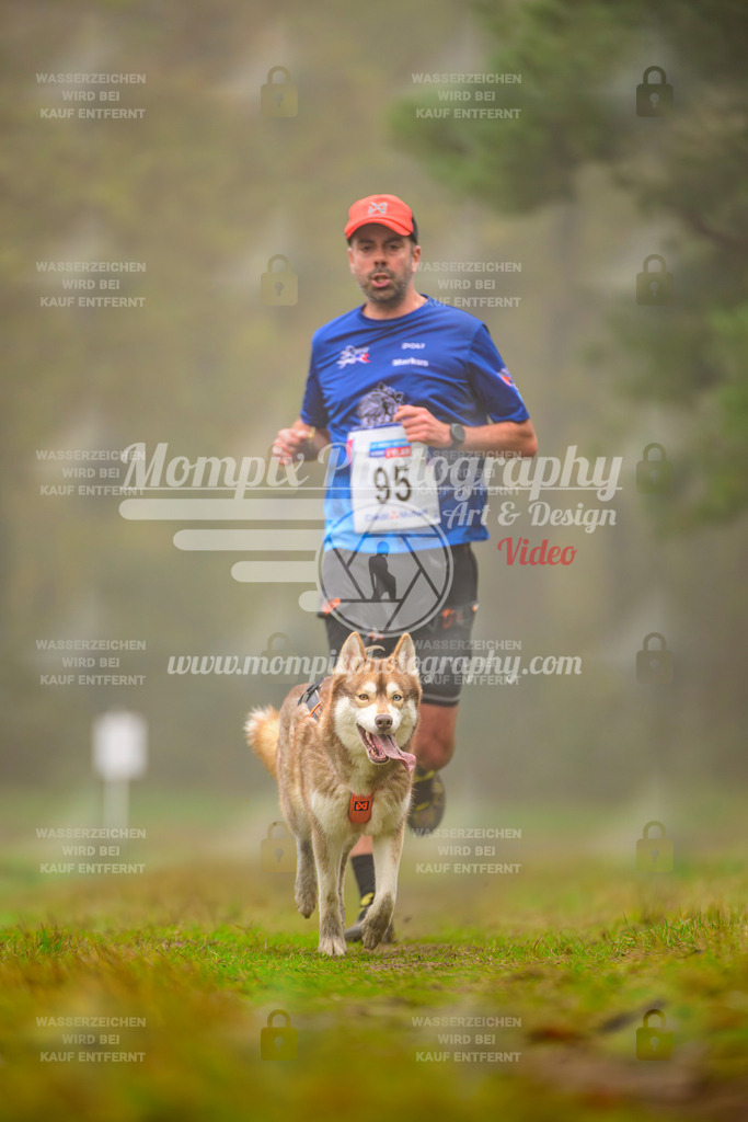 MompixPhotography_Bischwiller2025_Canicross-71 | mompixphotography