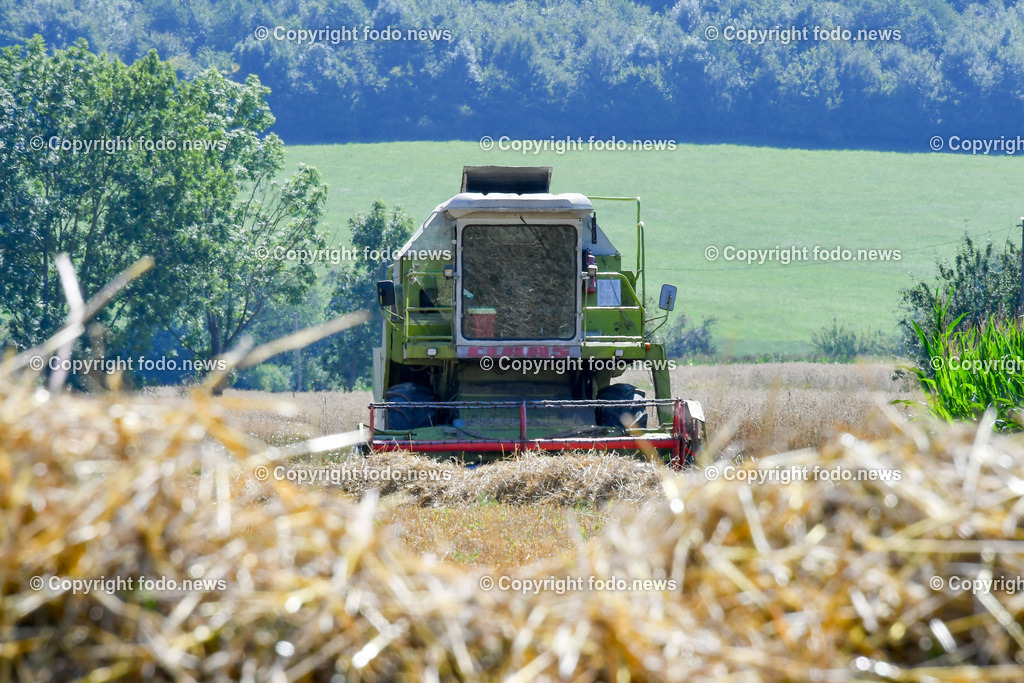 Deutschland_ Baden-Wuerttemberg_ Heiningen_ 11.08.2025-10 | 11.08.2025, Deutschland, GER, Baden-Wuerttemberg, Landkreis Goeppingen, Heiningen, im Bild Themenbild, Feldarbeit, Maehdrescher, Traktor, Heuballen, Heuwenden, Landwirtschaft, Ernte, Ackerbau, Bauernhof, Erntemaschine, Schwaden, Stroh, Heuernte, Ballenpresse, Anhaenger, landwirtschaftliche Technik, Sommer, Landwirt, Bauer, Staub, Feldweg, Sonnenlicht, Landleben, Agrarwirtschaft, Traktorengeraeusch, Maschinenarbeit, Feature, Symbolbild