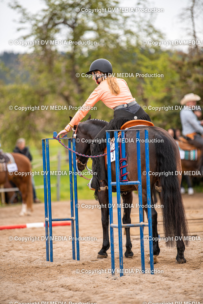 Balingen Tag 2-202 | dv-media-shop - Realisiert mit Pictrs.com