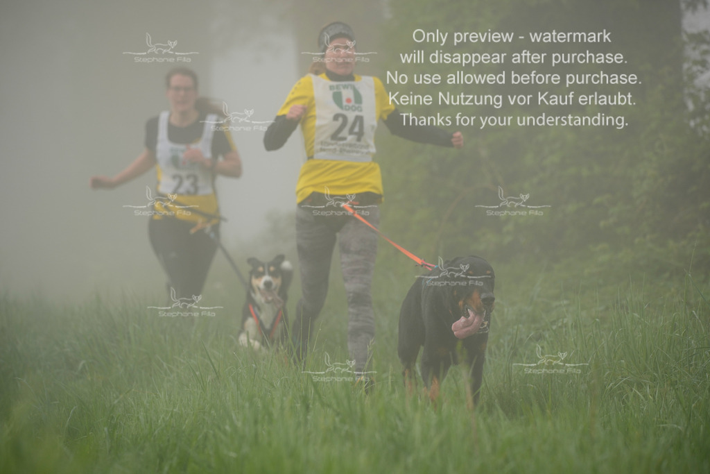 SA_GL2-126 | stephaniefillaphotographie - Realisiert mit Pictrs.com