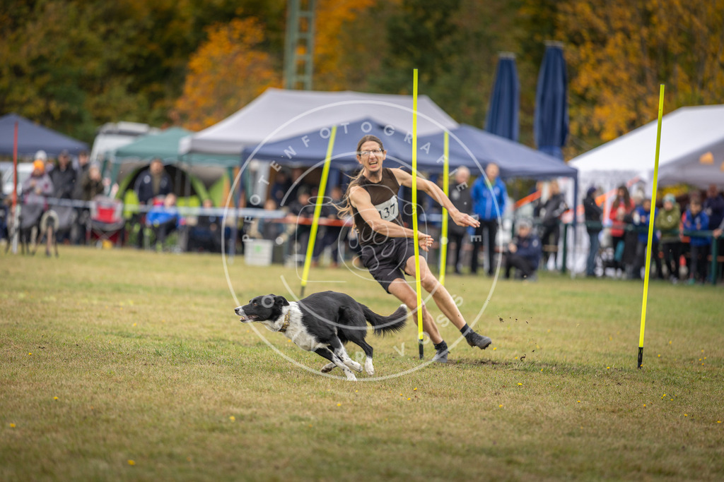 Pfotenfotografie_DV3A8158 | Hundefotografie, Tierfotograf, Pfotenfotografie, Fotoshooting Hund, Hunde Portrait, Hundesport, Hundeportraits, Heideshooting, Hunde, Sportfotograf, Hundefotograf, Turnierhundsport, THS,  - Realisiert mit Pictrs.com