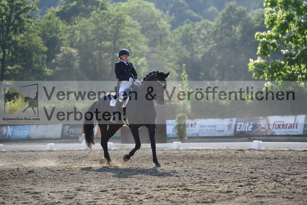 DSC_3254 | equestrian-live-com