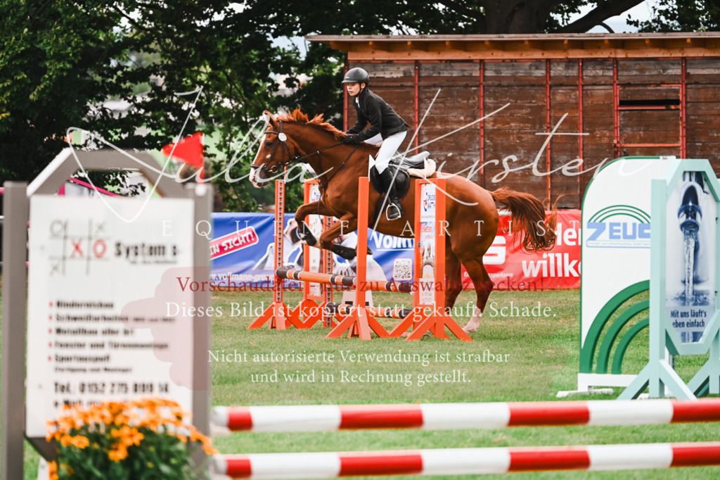 DSC_5850 | Pferde- und Turnierfotografie in Westsachsen. Pferdeportraits, Auftragszeichnungen und intuitive Kunst.
